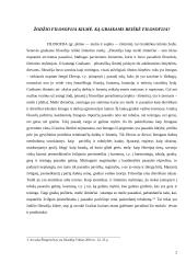 Filosofijos atsiradimo kilmė ir prielaidos 2 puslapis