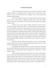 Filosofijos atsiradimo kilmė ir prielaidos 3 puslapis