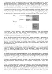 Filosofijos kilmė, raida 14 puslapis