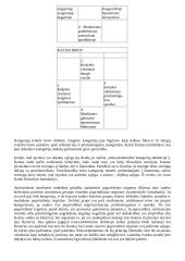 Filosofijos kilmė, raida 17 puslapis