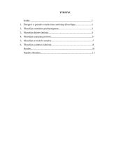 Filosofinės minties kaita 12 puslapis