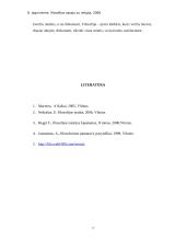 Filosofijos sąsaja su religija 7 puslapis