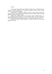 Filosofinės paliatyviosios medicinos problemos 6 puslapis