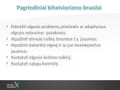 Socialinio darbo teorijos ir metodai. Bihevioristinė socialinio darbo teorija 4 puslapis