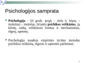 Socialinio darbo teorijos ir metodai. Įvadas 11 puslapis