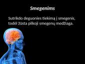 Narkotinės medžiagos (narkotikai) 12 puslapis