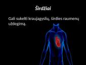 Narkotinės medžiagos (narkotikai) 13 puslapis