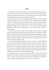 Žemės dirbimo, sėjos, ir sodinimo robotai 17 puslapis