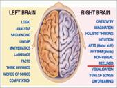 Emocijų ir elgesio valdymo būdai judesio korekcijos pagalba  13 puslapis