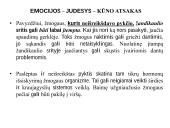 Emocijų ir elgesio valdymo būdai judesio korekcijos pagalba  19 puslapis