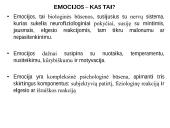 Emocijų ir elgesio valdymo būdai judesio korekcijos pagalba  2 puslapis