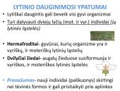 Lytinis dauginimasis. Mejozė 2 puslapis