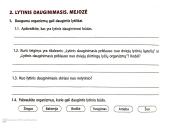 Lytinis dauginimasis. Mejozė 4 puslapis