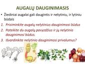 Augalų ir gyvūnų apvaisinimas 2 puslapis