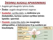 Augalų ir gyvūnų apvaisinimas 4 puslapis