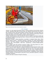 Vamzdynų transportas Lietuvoje ir pasaulyje 10 puslapis