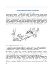 Vamzdynų transportas Lietuvoje ir pasaulyje 14 puslapis