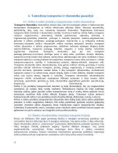 Vamzdynų transportas Lietuvoje ir pasaulyje 17 puslapis
