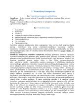 Vamzdynų transportas Lietuvoje ir pasaulyje 3 puslapis