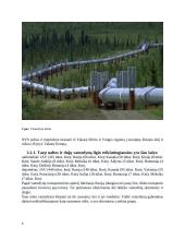 Vamzdynų transportas Lietuvoje ir pasaulyje 6 puslapis