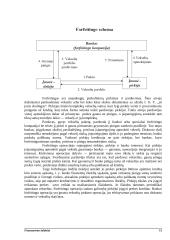 Finansavimo šaltiniai 12 puslapis