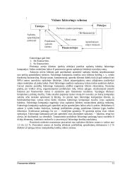 Finansavimo šaltiniai 10 puslapis