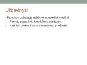 Imperializmo epocha 1870 – 1914 m. 10 puslapis