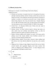 Finansinės investicijos bei jų įvertinimo metodai 13 puslapis