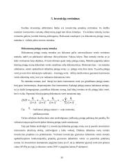 Finansinės investicijos bei jų įvertinimo metodai 19 puslapis