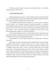 Finansinės investicijos bei jų įvertinimo metodai 6 puslapis