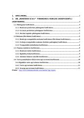 Finansinės veiklos įvertinimas: AB "Rokiškio sūris" 11 puslapis