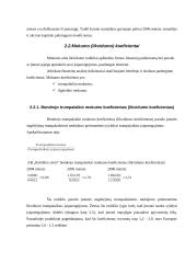 Finansinės veiklos įvertinimas: AB "Rokiškio sūris" 4 puslapis