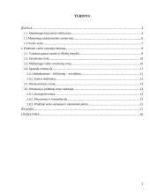 Finansinės veiklos stiprinimas per pridėtinės vertės vartotojui kūrimą 2 puslapis