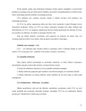 Finansinės veiklos stiprinimas per pridėtinės vertės vartotojui kūrimą 11 puslapis