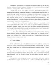 Finansinės veiklos stiprinimas per pridėtinės vertės vartotojui kūrimą 12 puslapis