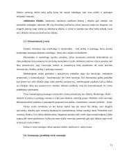 Finansinės veiklos stiprinimas per pridėtinės vertės vartotojui kūrimą 13 puslapis