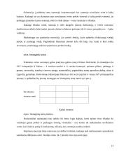 Finansinės veiklos stiprinimas per pridėtinės vertės vartotojui kūrimą 14 puslapis