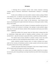 Finansinės veiklos stiprinimas per pridėtinės vertės vartotojui kūrimą 17 puslapis