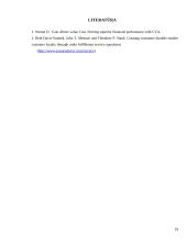 Finansinės veiklos stiprinimas per pridėtinės vertės vartotojui kūrimą 18 puslapis