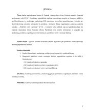 Finansinės veiklos stiprinimas per pridėtinės vertės vartotojui kūrimą 3 puslapis