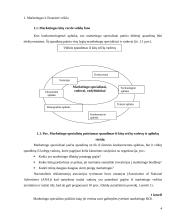 Finansinės veiklos stiprinimas per pridėtinės vertės vartotojui kūrimą 4 puslapis