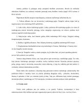 Finansinės veiklos stiprinimas per pridėtinės vertės vartotojui kūrimą 7 puslapis