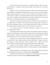 Finansinės veiklos stiprinimas per pridėtinės vertės vartotojui kūrimą 8 puslapis