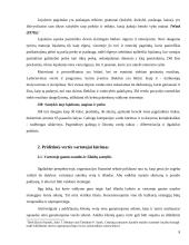 Finansinės veiklos stiprinimas per pridėtinės vertės vartotojui kūrimą 9 puslapis