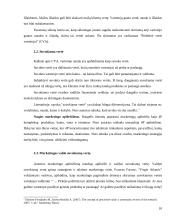 Finansinės veiklos stiprinimas per pridėtinės vertės vartotojui kūrimą 10 puslapis