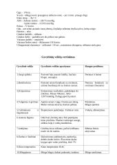 Pacientės akušerinis slaugos planas 2 puslapis