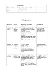 Pacientės akušerinis slaugos planas 3 puslapis