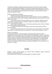 Pacientės akušerinis slaugos planas 5 puslapis