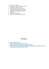 Pacientės akušerinis slaugos planas 6 puslapis