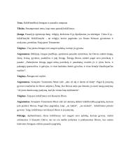 Krikščioniškoji žmogaus ir pasaulio samprata. Kalba su planu